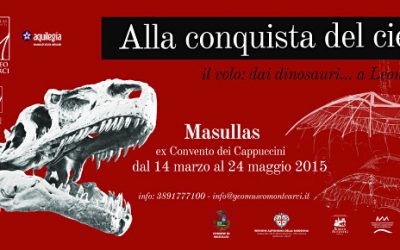 2015 – Alla conquista del cielo